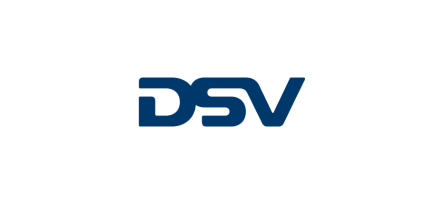 Cum a ajutat Axes Software DSV Solutions?